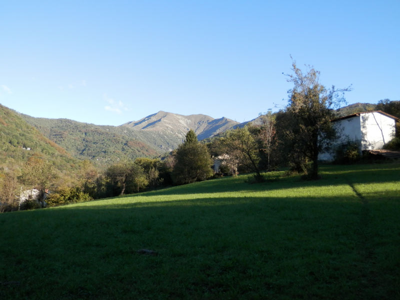 https://soledarte.it/images/lanzo/prati_colline/prati_colline_05.jpg